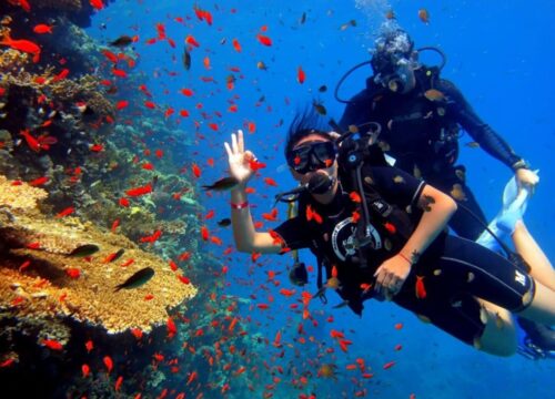 ДАЙВИНГ В ХУРГАДЕ