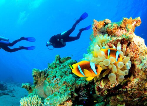 ДАЙВИНГ С БЕРЕГА