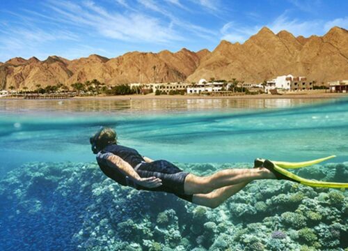 СУПЕР ДАХАБ ДИСКАВЕРИ 5 В 1